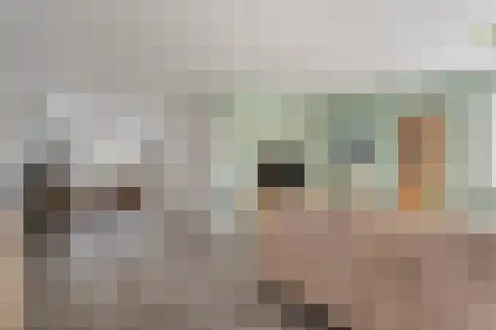 Koelgoorn 44 Diever thumbnail 5