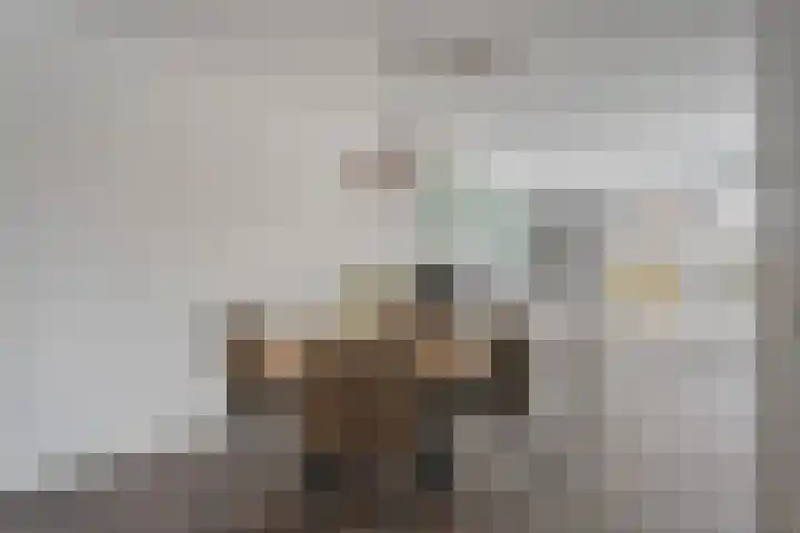 Koelgoorn 44 Diever thumbnail 6