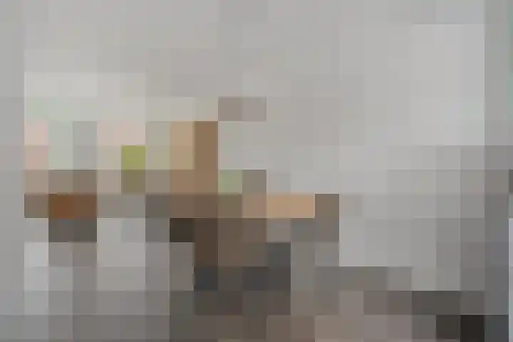Koelgoorn 44 Diever thumbnail 7