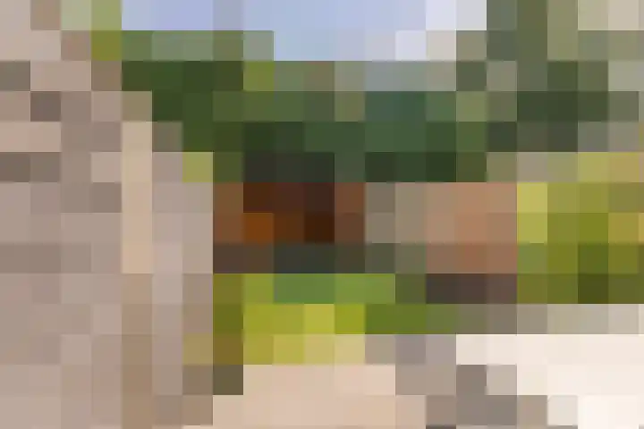 Koelhorst 14 Ede thumbnail 29