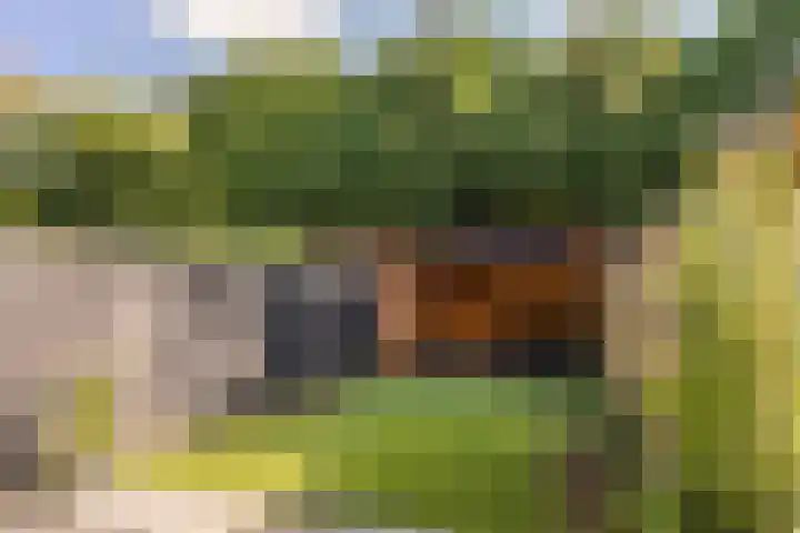 Koelhorst 14 Ede thumbnail 4