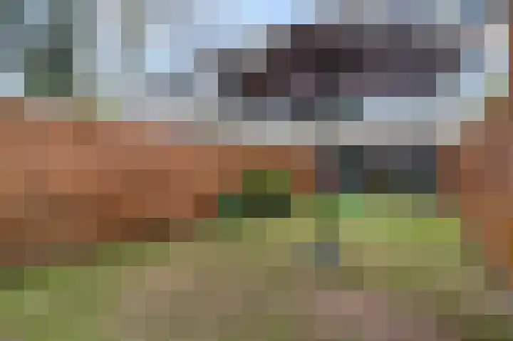 Koelhorst 31 Ede thumbnail 30