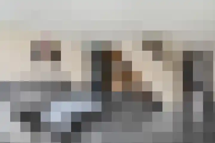 Koelhorst 31 Ede thumbnail 4