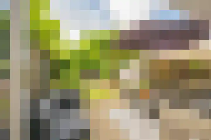 Koelhorst 77 Ede thumbnail 35