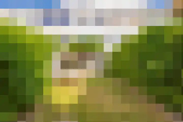Koelhorst 77 Ede thumbnail 39