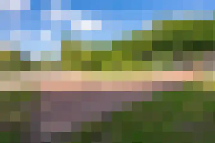 Koelhorst 77 Ede thumbnail 42