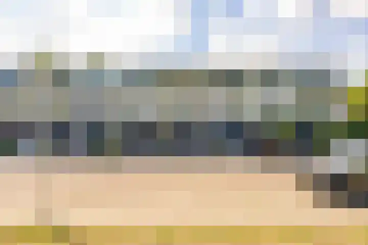 Koelhorst 77 Ede thumbnail 5
