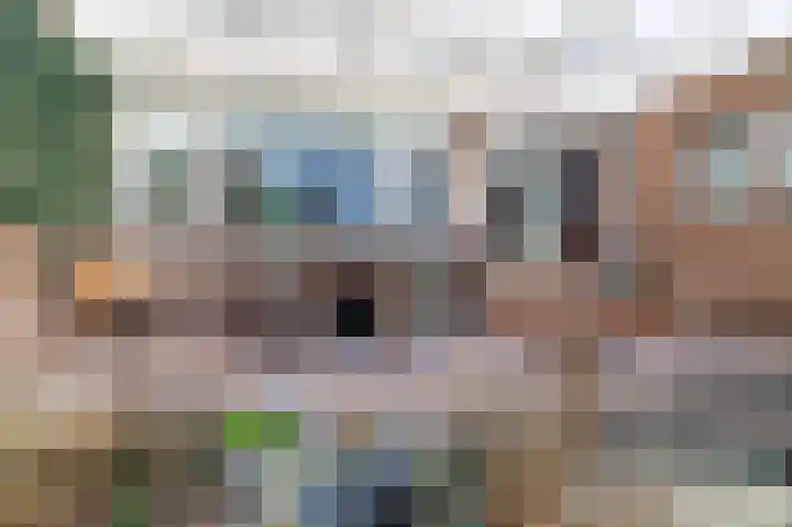 Koelmoer 10 Landgraaf thumbnail 26