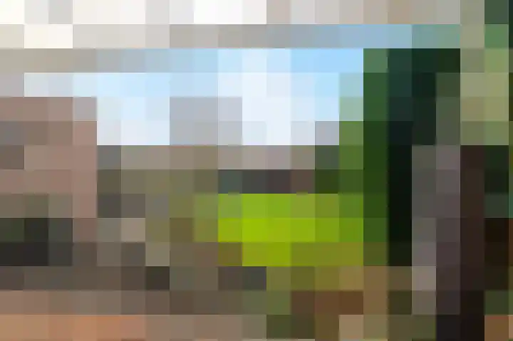 Koelmoer 10 Landgraaf thumbnail 27