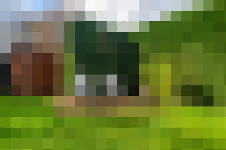 Koelmoer 10 Landgraaf thumbnail 29