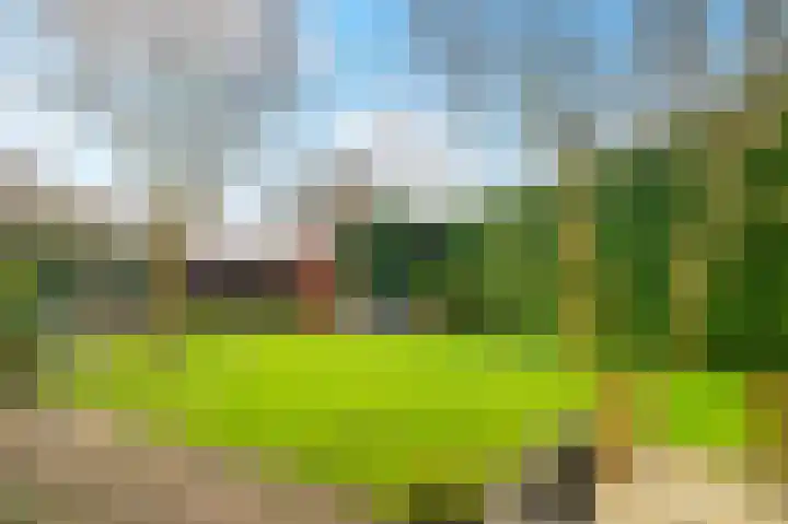 Koelmoer 10 Landgraaf thumbnail 30