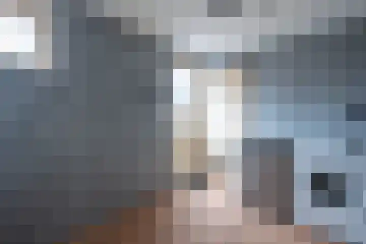Koelstrawei 12 Twijzelerheide thumbnail 15