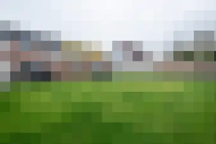 Koelstrawei 12 Twijzelerheide thumbnail 31