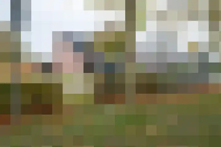 Koelstrawei 12 Twijzelerheide thumbnail 32