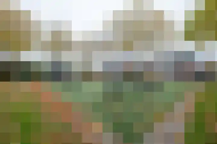 Koelstrawei 12 Twijzelerheide thumbnail 33