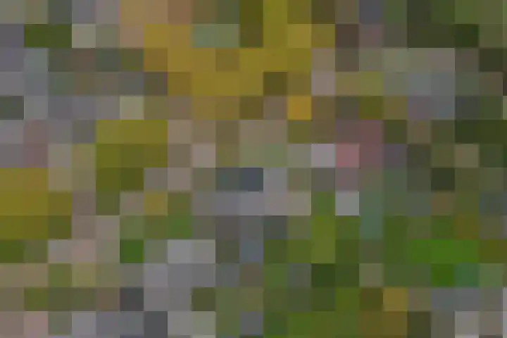 Koelstrawei 12 Twijzelerheide thumbnail 36