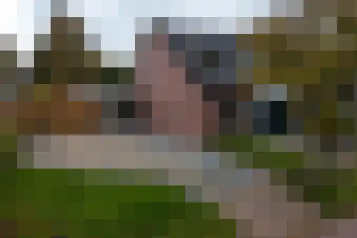 Koelstrawei 12 Twijzelerheide thumbnail 37