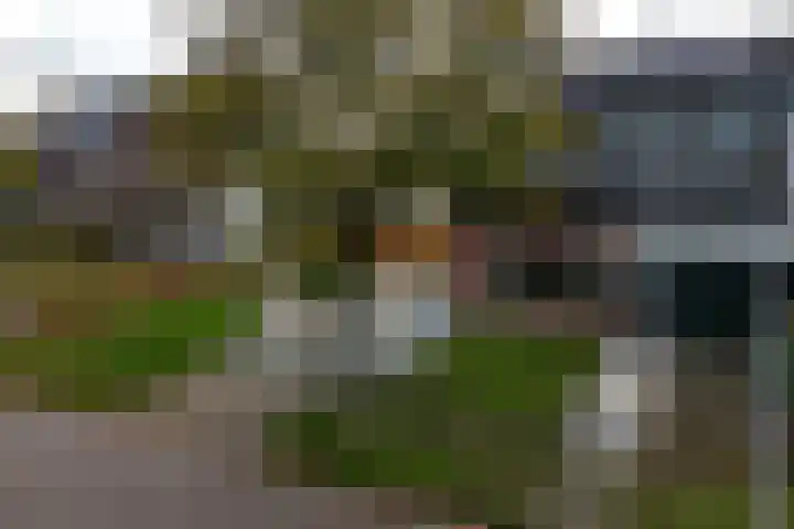 Koelstrawei 12 Twijzelerheide thumbnail 38