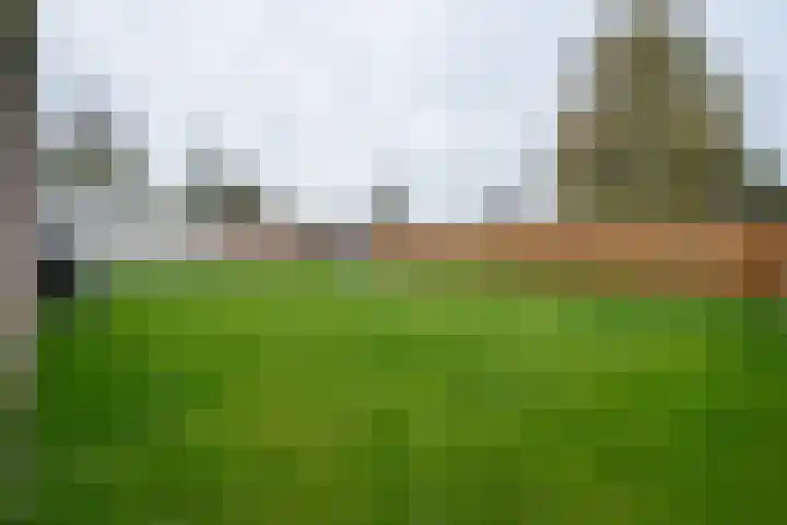 Koelstrawei 12 Twijzelerheide thumbnail 6