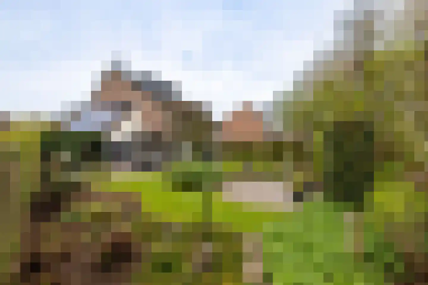 Koemate 102 Doetinchem