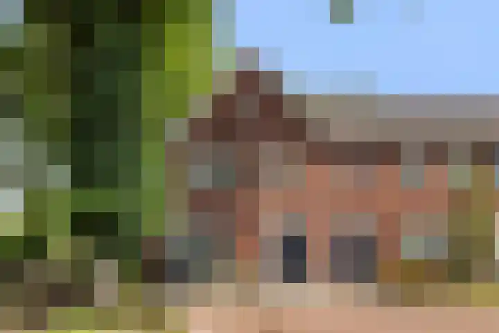 Koemeerskuil 20 en Wintelre