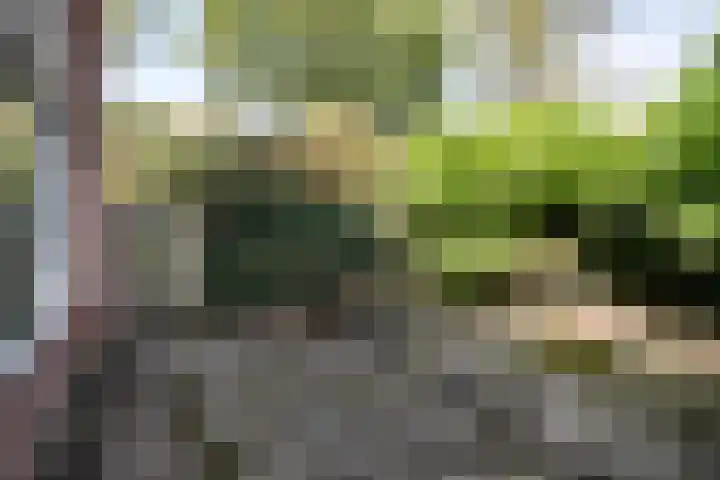 Koenderinklanden 28 Enschede thumbnail 35