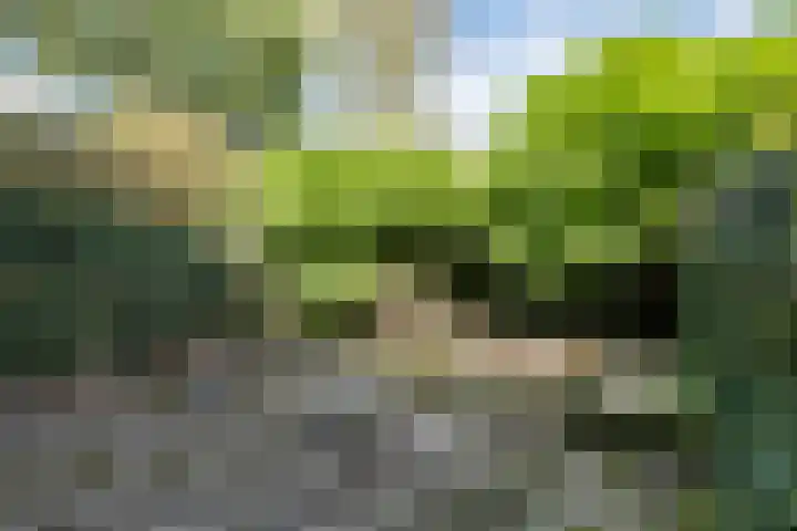 Koenderinklanden 28 Enschede thumbnail 36