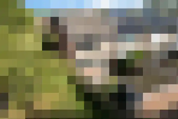 Koenderinklanden 28 Enschede thumbnail 38