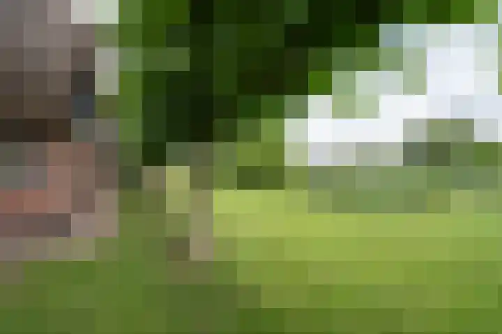 Koenderseweg 2 Oosterwijk thumbnail 32