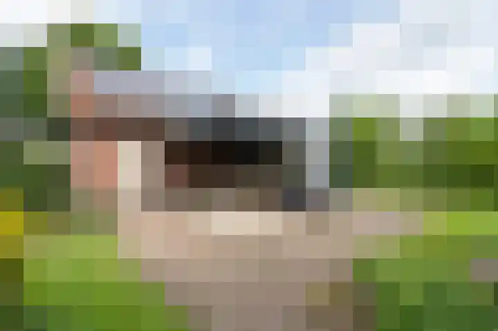 Koenderseweg 2 Oosterwijk thumbnail 34
