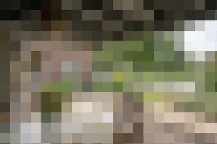 Koenderseweg 2 Oosterwijk thumbnail 35