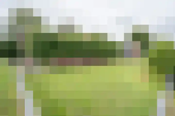 Koenderseweg 2 Oosterwijk thumbnail 38