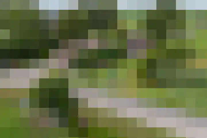Koenderseweg 2 Oosterwijk thumbnail 40