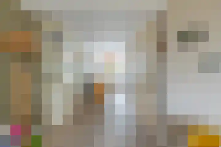Koepel 15 Middelburg thumbnail 15