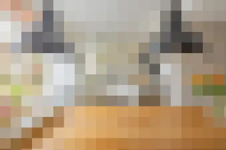 Koepel 15 Middelburg thumbnail 17