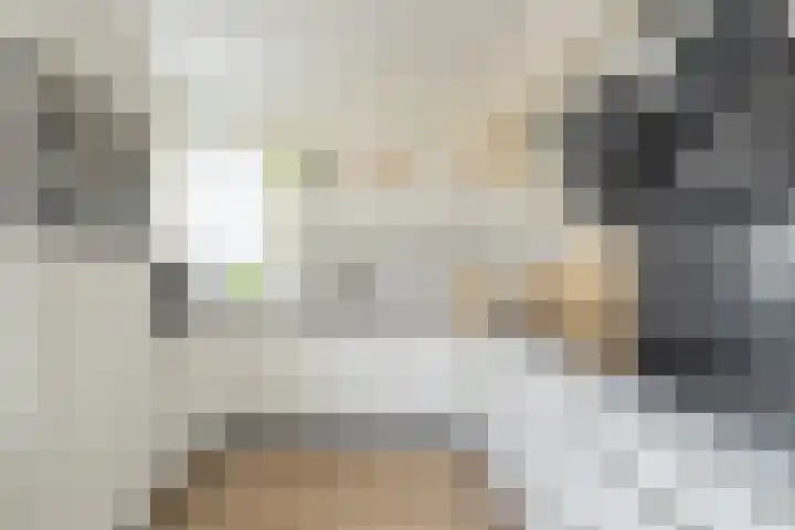 Koepel 15 Middelburg thumbnail 18