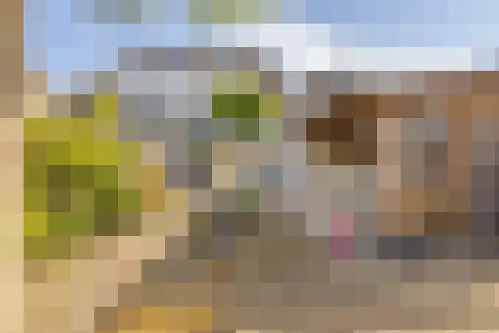Koepel 15 Middelburg thumbnail 26