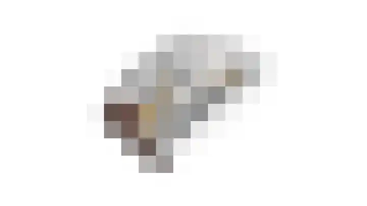 Koepel 15 Middelburg thumbnail 28