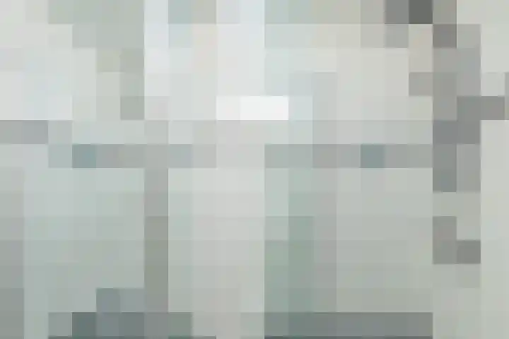 Koepel 15 Middelburg thumbnail 39