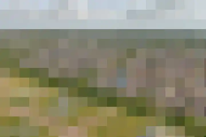 Koepel 15 Middelburg thumbnail 4