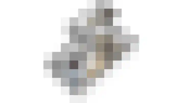 Koepel 15 Middelburg thumbnail 7