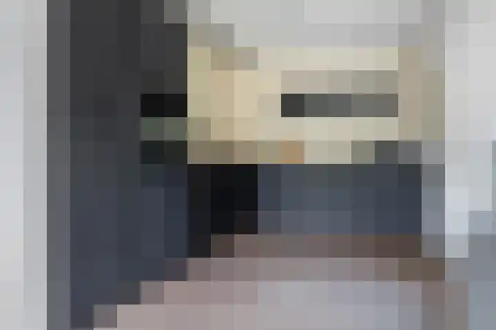 Koereiger 10 Emmen thumbnail 12