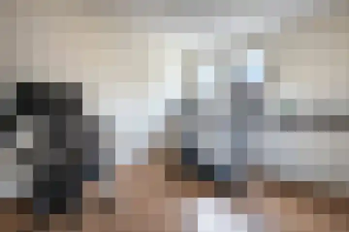 Koereiger 10 Emmen thumbnail 13