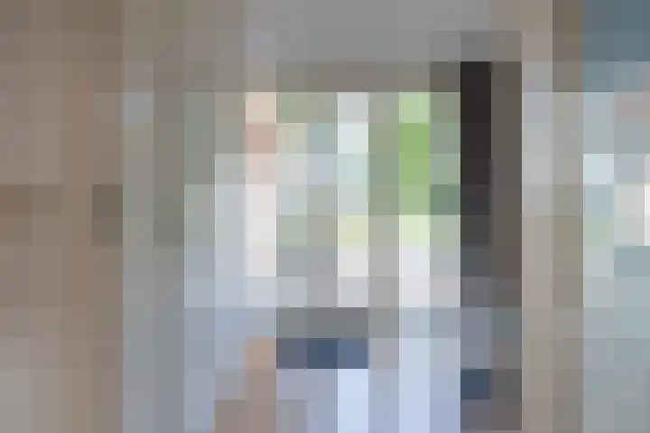 Koereiger 10 Emmen thumbnail 14