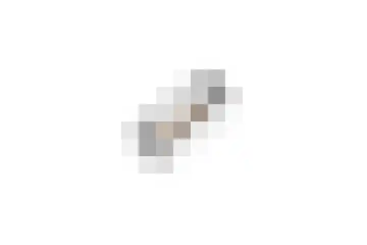 Koereiger 10 Emmen thumbnail 18