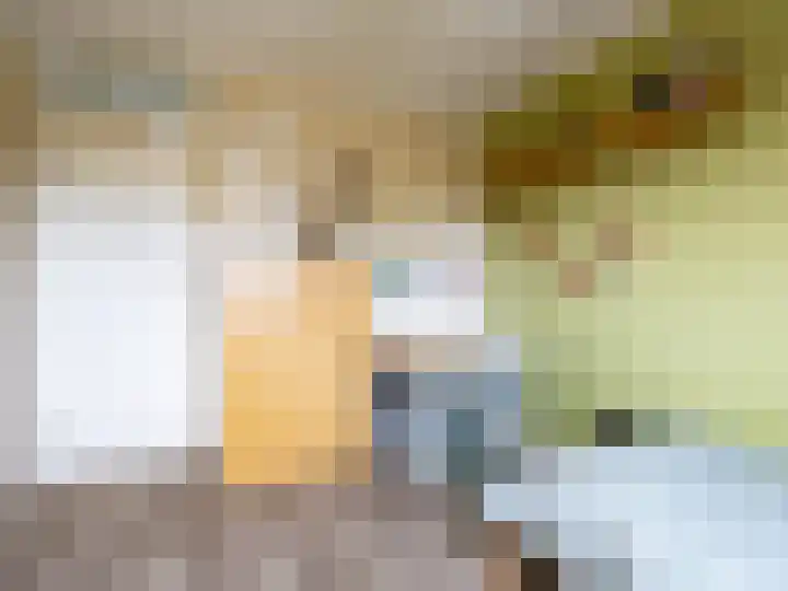 Koereiger 10 Emmen thumbnail 20