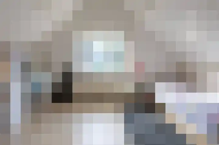 Koereiger 10 Emmen thumbnail 23