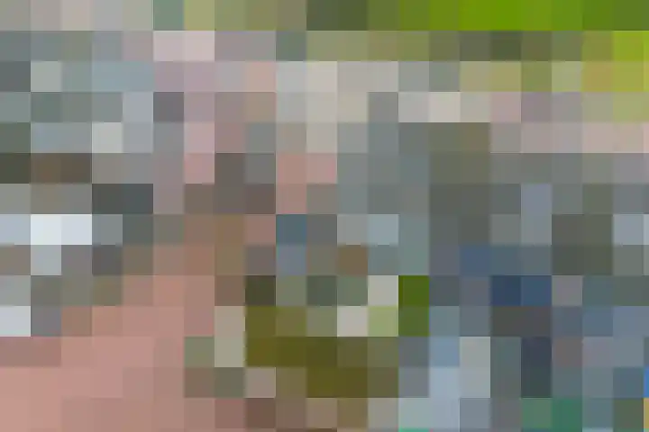 Koereiger 10 Emmen thumbnail 27