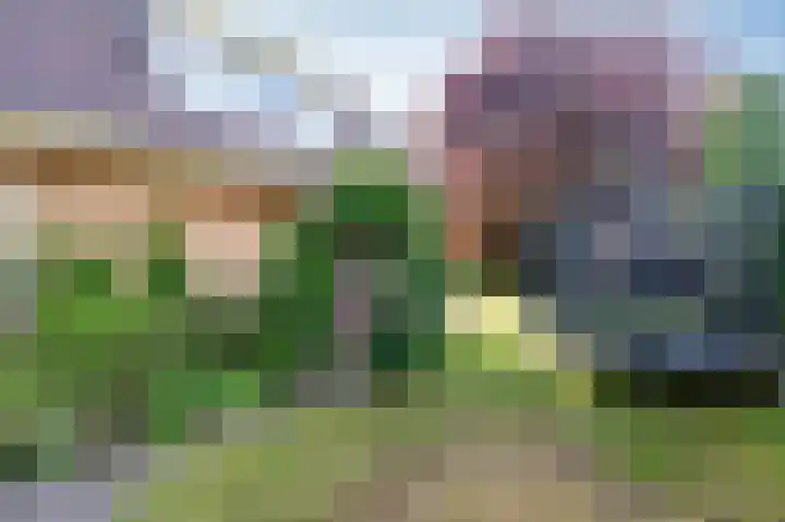 Koereiger 10 Emmen thumbnail 30