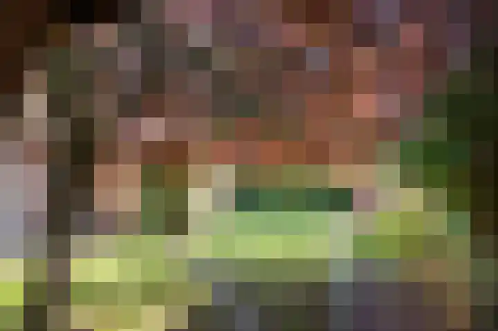 Koereiger 10 Emmen thumbnail 32
